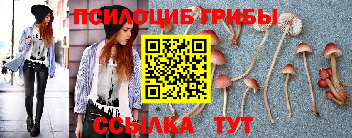 Галлюциногенные грибы Psilocybe Астрахань